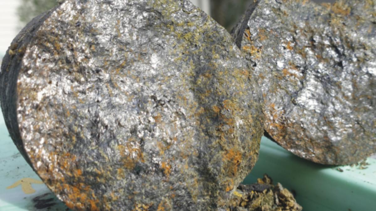 Quantum makes off-market bid for SA graphite play