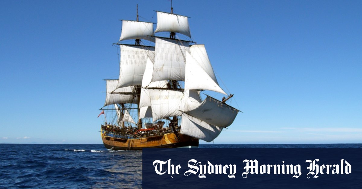 Seaworms leaving Endeavour's timbers honeycombed, says expert