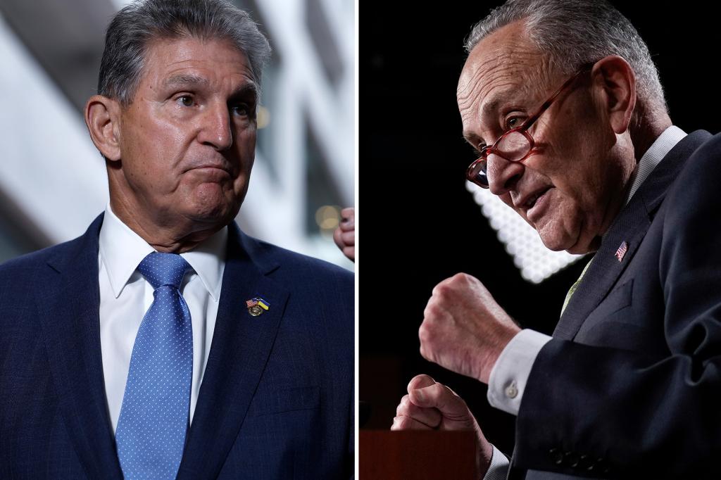 Senate Dems skipping COVID testing to push spending bill vote: report