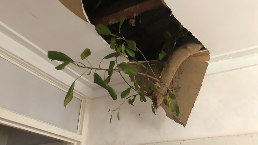 Series of cold fronts set to see wild weather in Western Australia continue until Wednesday