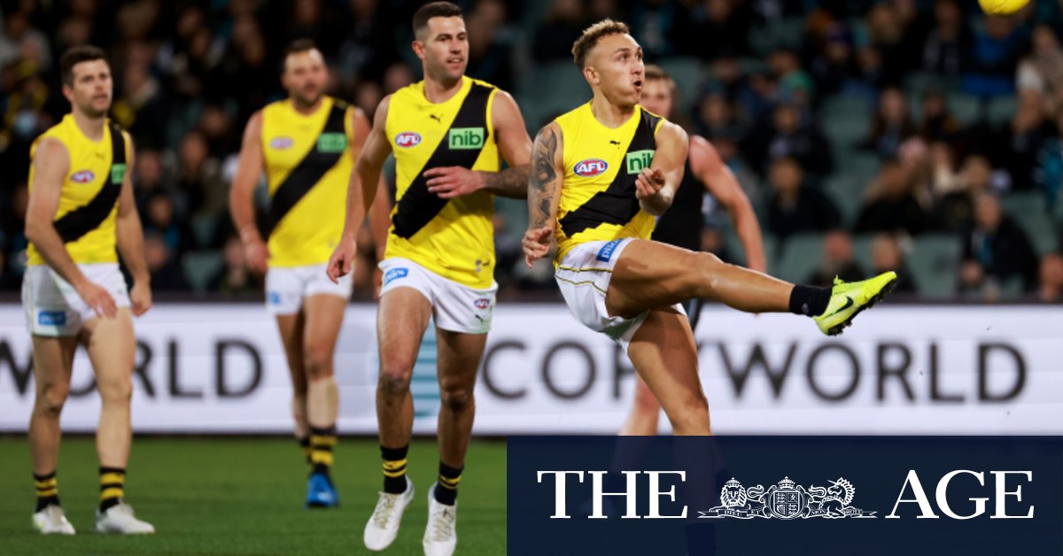 Shai Bolton stars as Richmond Tigers bare claws in win over Port Adelaide Power