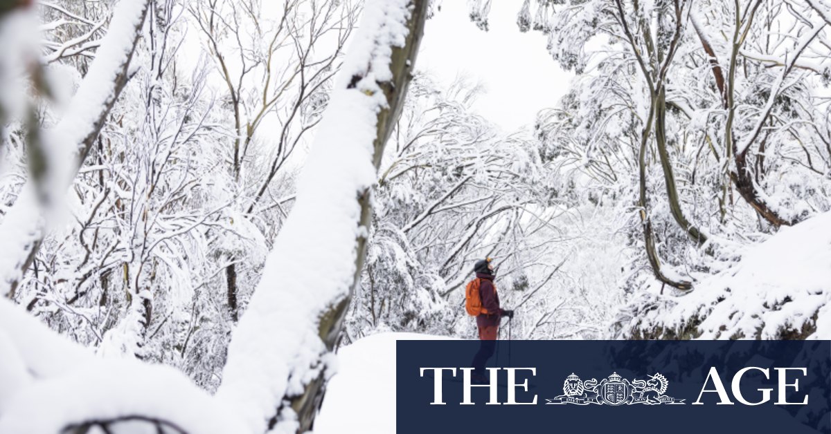 Ski resorts welcome record number of visitors to alpine region