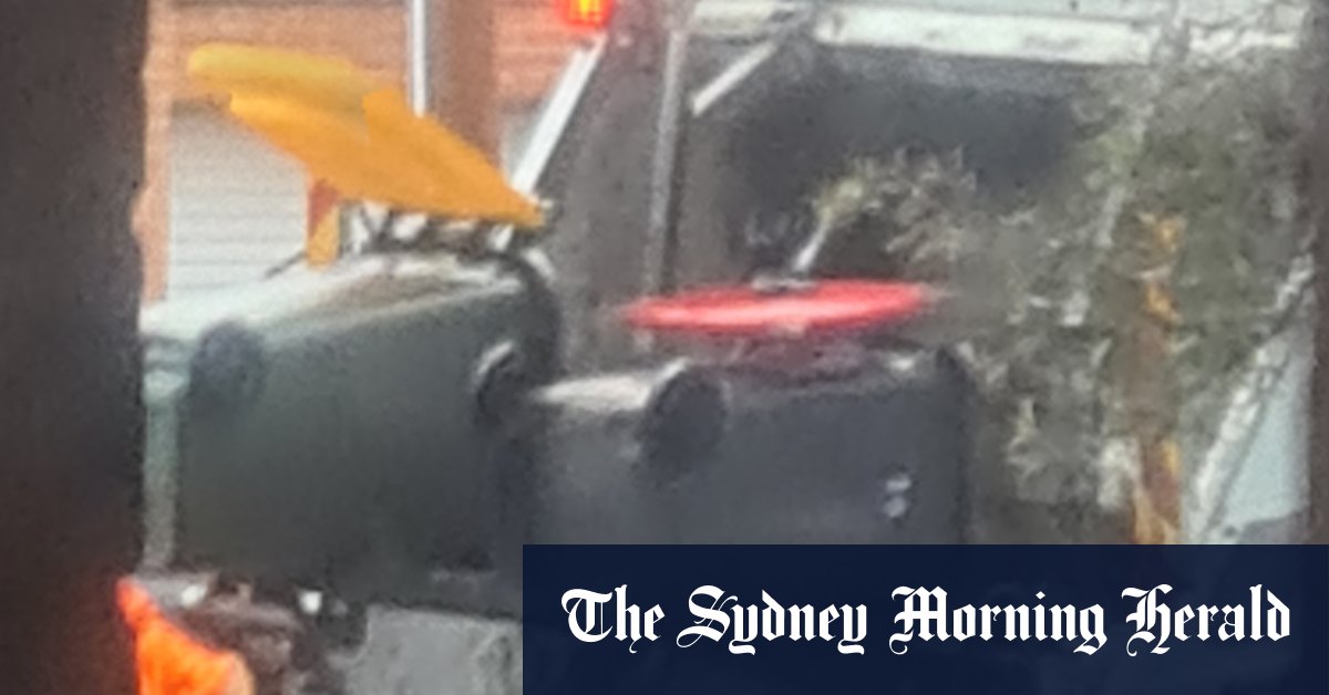 Sydney council finds 700 recycling bins are emptied into garbage trucks