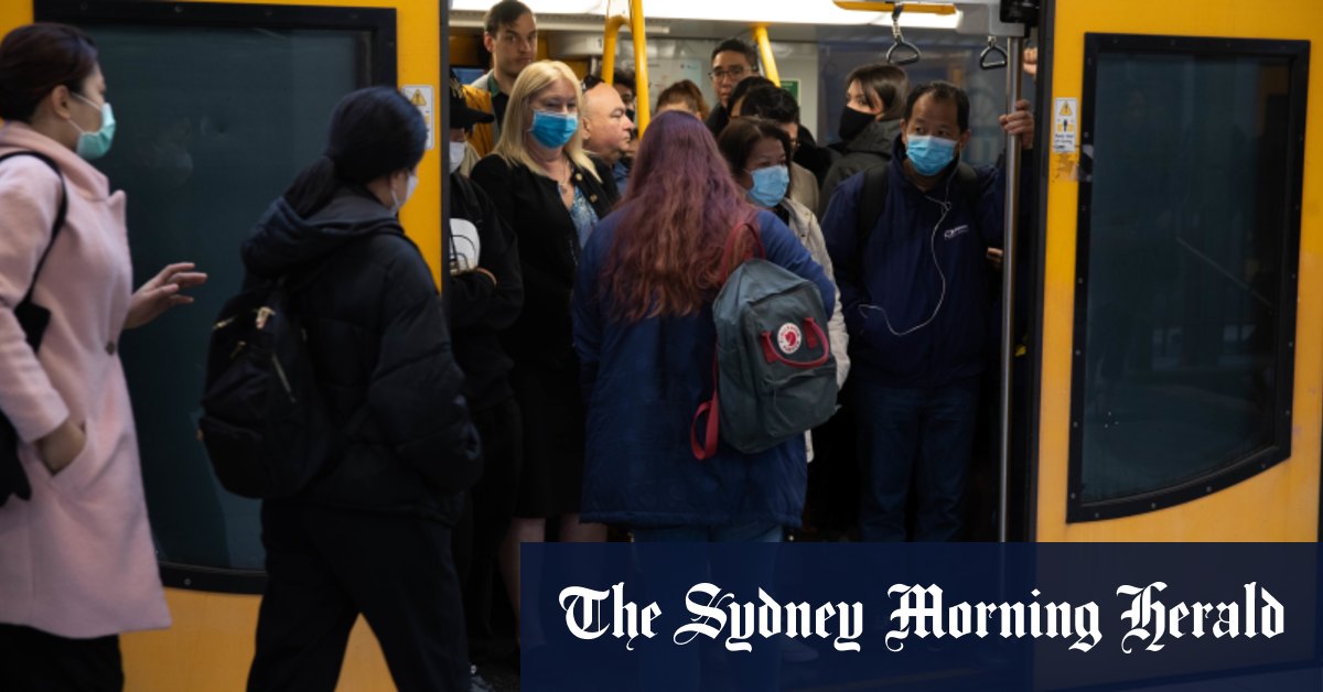 T4 East, Illawarra, South Coast line delays as standoff continues