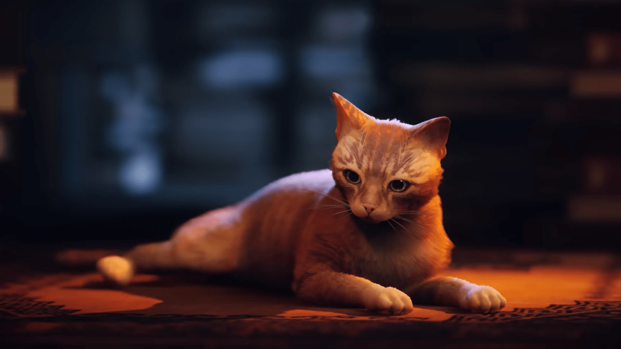 The Best (And Silliest) Stray Mods