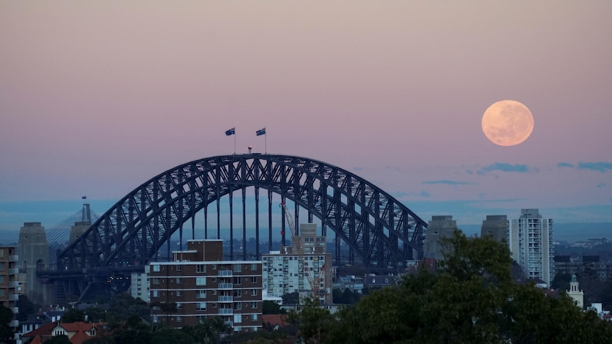 The Loop: Why Donald Trump's estate was searched, John Barilaro to be grilled by inquiry again, and when to see the sturgeon supermoon