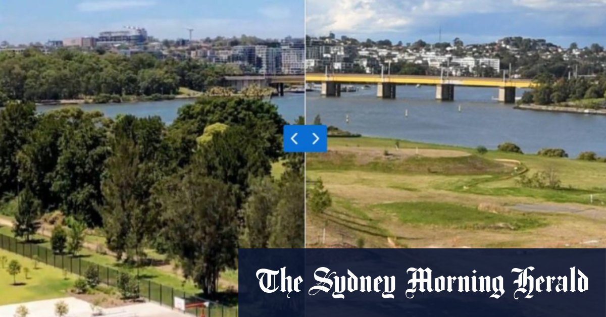 The Wentworth Point residents fighting for more green space