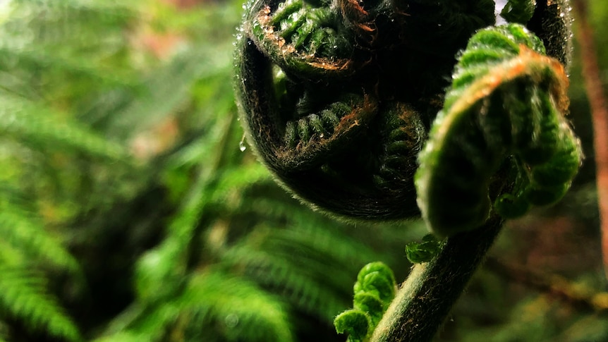 Trauma-informed photography course gives abuse survivors a new perspective, boosting self-esteem