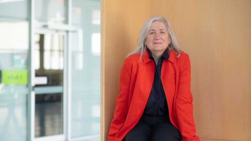 A photo of the UNE Vice Chancellor Brigid Heywood, sitting on a desk.