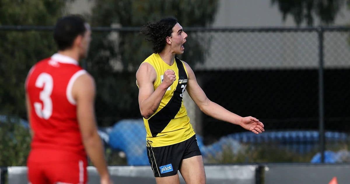 VFL Tigers scorch Bullants with final-term blitz