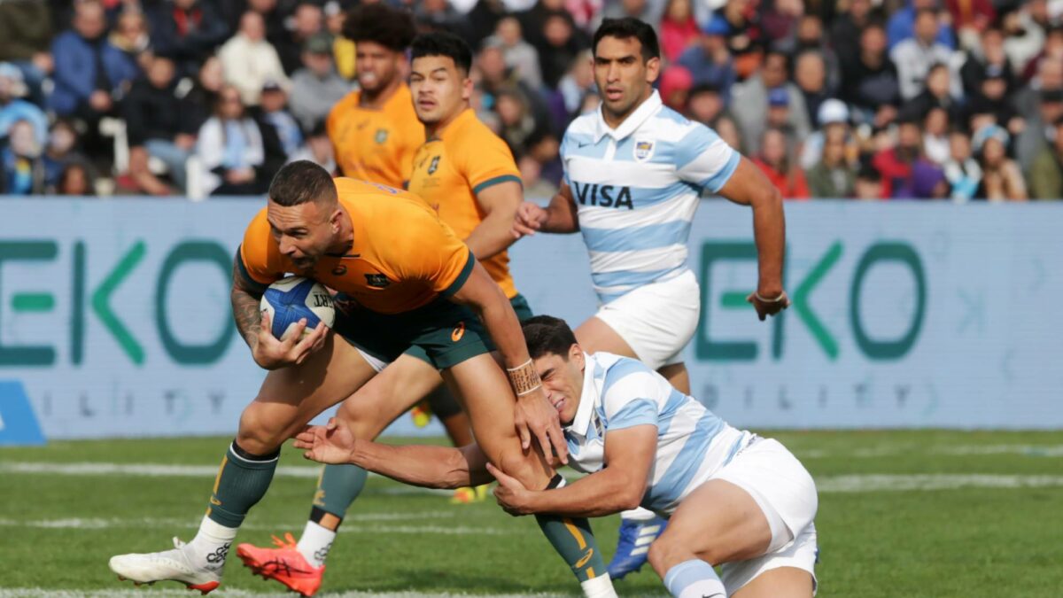 Wallabies' 2024 gameplan development starts now