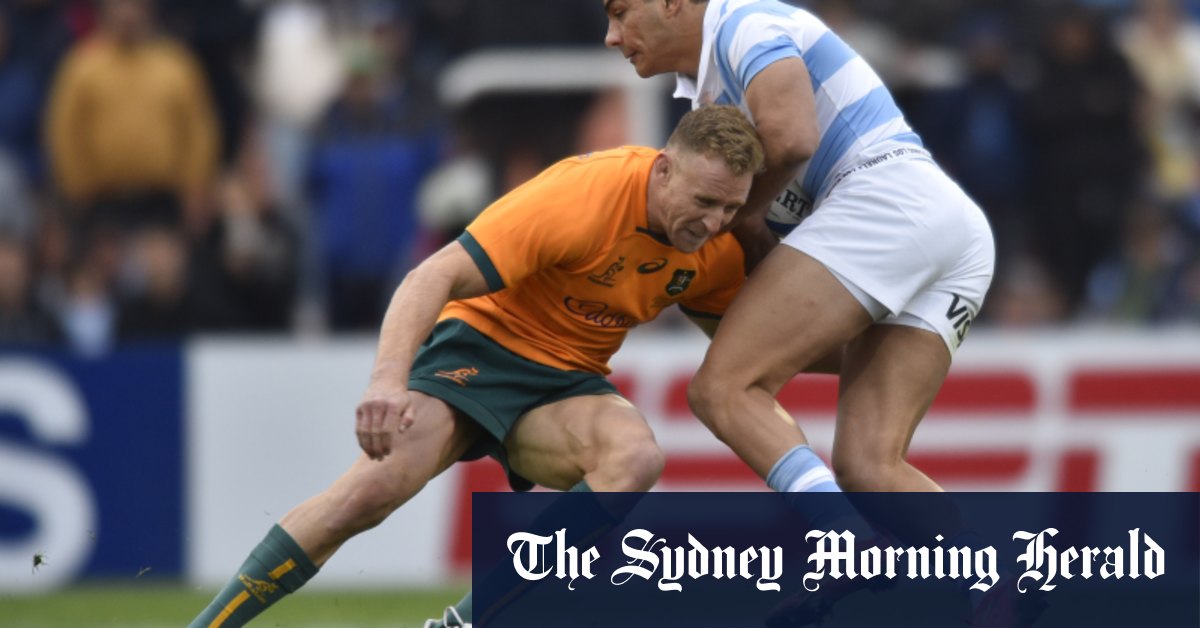 Wallabies utility Reece Hodge back after Quade Cooper injury against Argentina