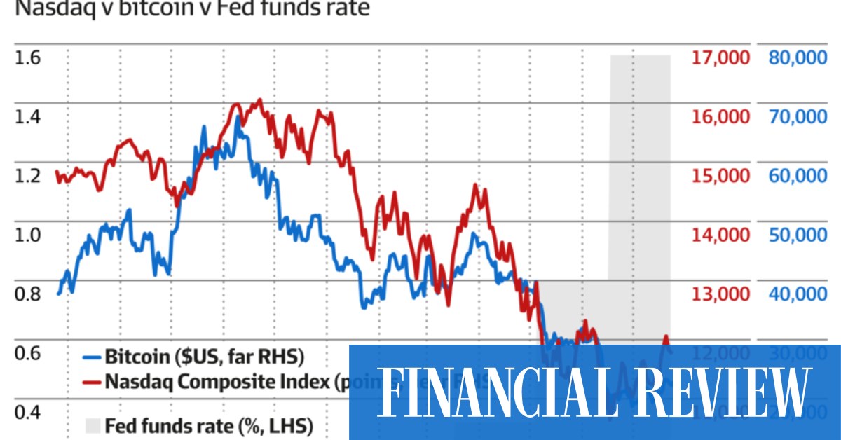 What caused crypto to crash in 2022?  Will it survive?