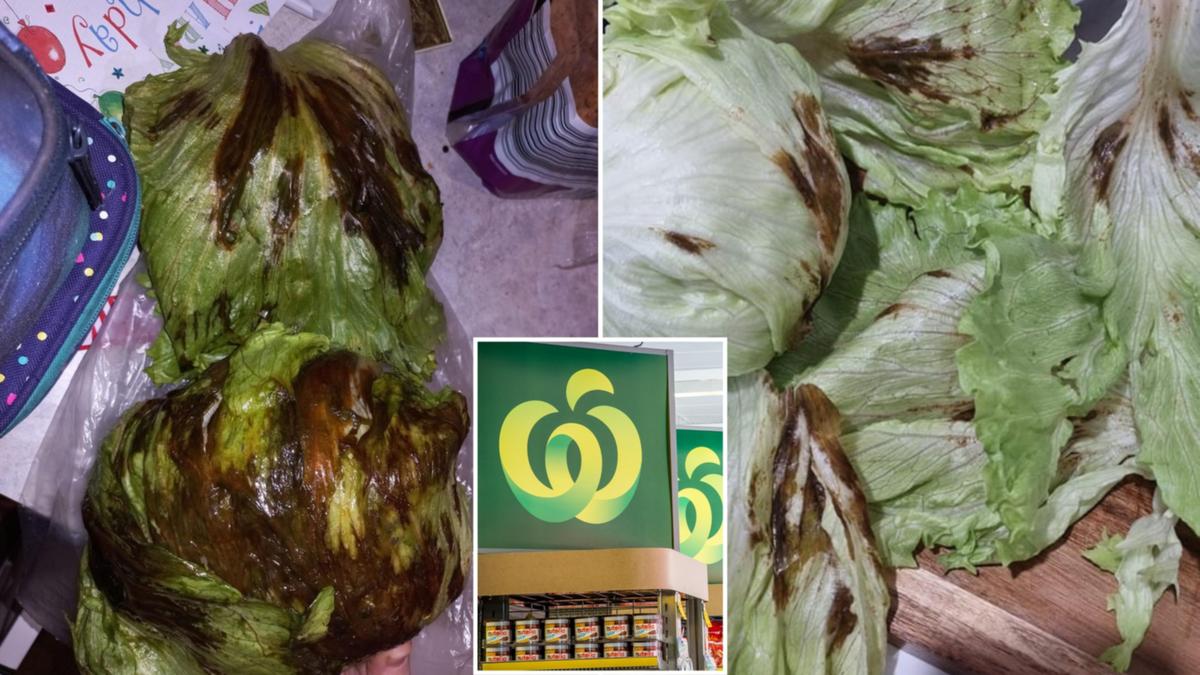 Woolworths supermarket launches urgent investigation after Woolworths shoppers in NSW and Queensland spot alarming iceberg lettuce detail
