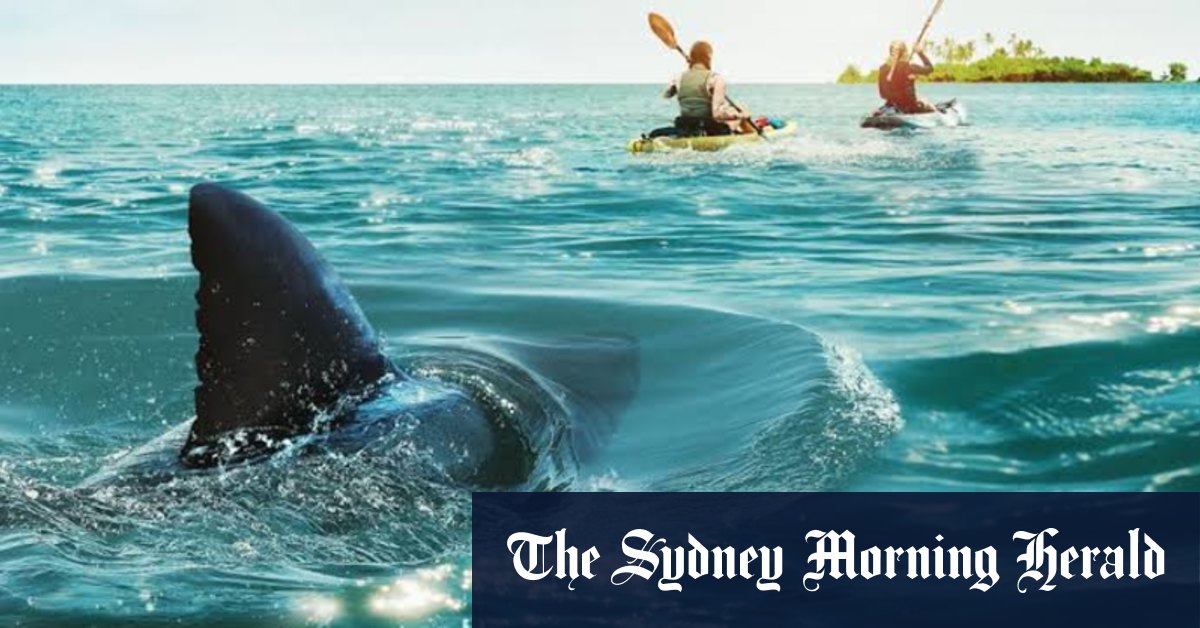 interview with director Andrew Traucki about shark films